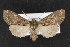  ( - CNC LEP00052945)  @12 [ ] Unspecified (default): All Rights Reserved  Unspecified Unspecified