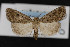  ( - CNC LEP00052951)  @14 [ ] Unspecified (default): All Rights Reserved  Unspecified Unspecified