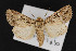  ( - CNC LEP00052956)  @14 [ ] Unspecified (default): All Rights Reserved  Unspecified Unspecified