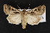  ( - CNC LEP00052960)  @14 [ ] Unspecified (default): All Rights Reserved  Unspecified Unspecified