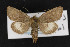  ( - CNC LEP00052966)  @14 [ ] Unspecified (default): All Rights Reserved  Unspecified Unspecified
