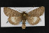  ( - CNC LEP00052968)  @14 [ ] Unspecified (default): All Rights Reserved  Unspecified Unspecified