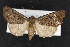  ( - CNC LEP00052973)  @11 [ ] Unspecified (default): All Rights Reserved  Unspecified Unspecified