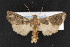  ( - CNC LEP00052974)  @11 [ ] Unspecified (default): All Rights Reserved  Unspecified Unspecified