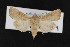  ( - CNC LEP00052982)  @11 [ ] Unspecified (default): All Rights Reserved  Unspecified Unspecified