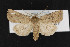  ( - CNC LEP00053007)  @13 [ ] Unspecified (default): All Rights Reserved  Unspecified Unspecified