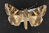  ( - CNC LEP00053037)  @14 [ ] Unspecified (default): All Rights Reserved  Unspecified Unspecified