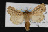  ( - CNC LEP00053064)  @14 [ ] Unspecified (default): All Rights Reserved  Unspecified Unspecified