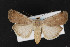  ( - CNC LEP00053065)  @13 [ ] Unspecified (default): All Rights Reserved  Unspecified Unspecified