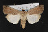  ( - CNC LEP00053067)  @14 [ ] Unspecified (default): All Rights Reserved  Unspecified Unspecified