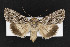  ( - CNC LEP00053084)  @14 [ ] Unspecified (default): All Rights Reserved  Unspecified Unspecified