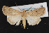  ( - CNC LEP00053094)  @13 [ ] Unspecified (default): All Rights Reserved  Unspecified Unspecified