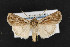  ( - CNC LEP00053102)  @14 [ ] Unspecified (default): All Rights Reserved  Unspecified Unspecified