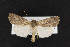  ( - CNC LEP00053109)  @14 [ ] Unspecified (default): All Rights Reserved  Unspecified Unspecified