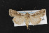  ( - CNC LEP00053121)  @11 [ ] Unspecified (default): All Rights Reserved  Unspecified Unspecified