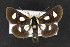  ( - CNC LEP00053126)  @14 [ ] Unspecified (default): All Rights Reserved  Unspecified Unspecified