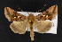  ( - CNC LEP00053128)  @14 [ ] Unspecified (default): All Rights Reserved  Unspecified Unspecified