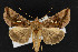  ( - CNC LEP00053129)  @14 [ ] Unspecified (default): All Rights Reserved  Unspecified Unspecified