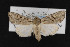  ( - CNC LEP00053133)  @12 [ ] Unspecified (default): All Rights Reserved  Unspecified Unspecified