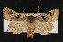  ( - CNC LEP00053152)  @14 [ ] Unspecified (default): All Rights Reserved  Unspecified Unspecified