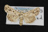  (Escaria homogena - CNC LEP00053157)  @14 [ ] Unspecified (default): All Rights Reserved  Unspecified Unspecified