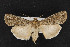  ( - CNC LEP00053165)  @14 [ ] Unspecified (default): All Rights Reserved  Unspecified Unspecified