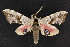  ( - NOC15036)  @12 [ ] Unspecified (default): All Rights Reserved  Unspecified Unspecified