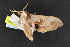  ( - NOC15037)  @12 [ ] Unspecified (default): All Rights Reserved  Unspecified Unspecified