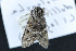  ( - NOC15044)  @12 [ ] Unspecified (default): All Rights Reserved  Unspecified Unspecified