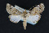  ( - NOC15049)  @13 [ ] Unspecified (default): All Rights Reserved  Unspecified Unspecified