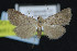  ( - NOC15089)  @13 [ ] Unspecified (default): All Rights Reserved  Unspecified Unspecified