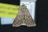  ( - NOC15090)  @13 [ ] Unspecified (default): All Rights Reserved  Unspecified Unspecified