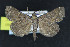  ( - NOC15091)  @13 [ ] Unspecified (default): All Rights Reserved  Unspecified Unspecified