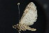  ( - NOC15100)  @13 [ ] Unspecified (default): All Rights Reserved  Unspecified Unspecified