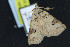  ( - NOC15105)  @13 [ ] Unspecified (default): All Rights Reserved  Unspecified Unspecified