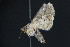  ( - NOC15122)  @12 [ ] Unspecified (default): All Rights Reserved  Unspecified Unspecified