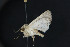  ( - NOC15128)  @11 [ ] Unspecified (default): All Rights Reserved  Unspecified Unspecified