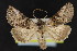  ( - NOC15138)  @14 [ ] Unspecified (default): All Rights Reserved  Unspecified Unspecified