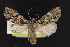  ( - NOC15141)  @14 [ ] Unspecified (default): All Rights Reserved  Unspecified Unspecified