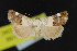  ( - NOC15168)  @13 [ ] Unspecified (default): All Rights Reserved  Unspecified Unspecified