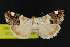  ( - NOC15170)  @14 [ ] Unspecified (default): All Rights Reserved  Unspecified Unspecified