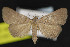  ( - NOC15176)  @13 [ ] Unspecified (default): All Rights Reserved  Unspecified Unspecified