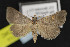  ( - NOC15177)  @13 [ ] Unspecified (default): All Rights Reserved  Unspecified Unspecified