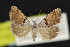  ( - NOC15179)  @14 [ ] Unspecified (default): All Rights Reserved  Unspecified Unspecified