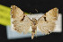  ( - NOC15180)  @13 [ ] Unspecified (default): All Rights Reserved  Unspecified Unspecified