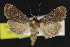  ( - NOC15181)  @14 [ ] Unspecified (default): All Rights Reserved  Unspecified Unspecified