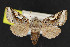  ( - NOC15195)  @14 [ ] Unspecified (default): All Rights Reserved  Unspecified Unspecified