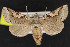  ( - NOC15196)  @14 [ ] Unspecified (default): All Rights Reserved  Unspecified Unspecified