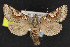  ( - NOC15197)  @14 [ ] Unspecified (default): All Rights Reserved  Unspecified Unspecified