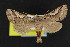  ( - NOC15198)  @14 [ ] Unspecified (default): All Rights Reserved  Unspecified Unspecified